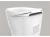 9.webp