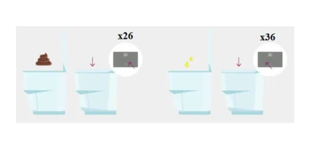 A2.webp