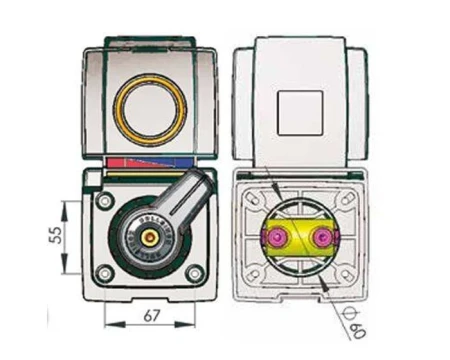 5.webp